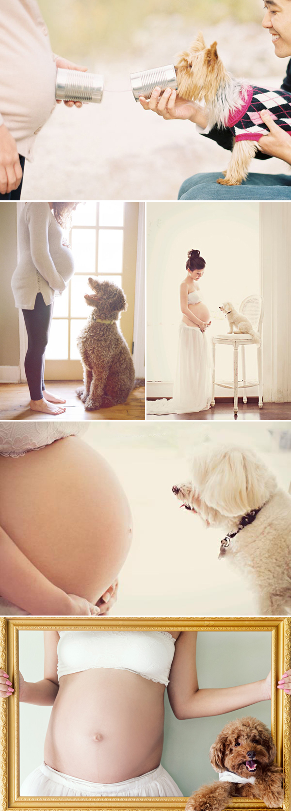 maternity10-pets