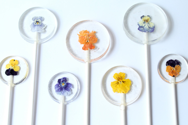 02-Viola Pansy Flower Lollipops
