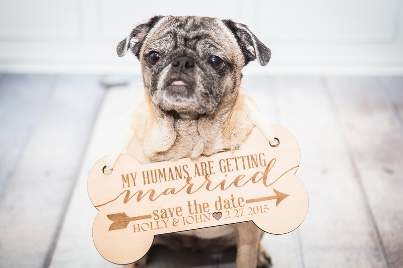 13-Pet Save the Date Sign
