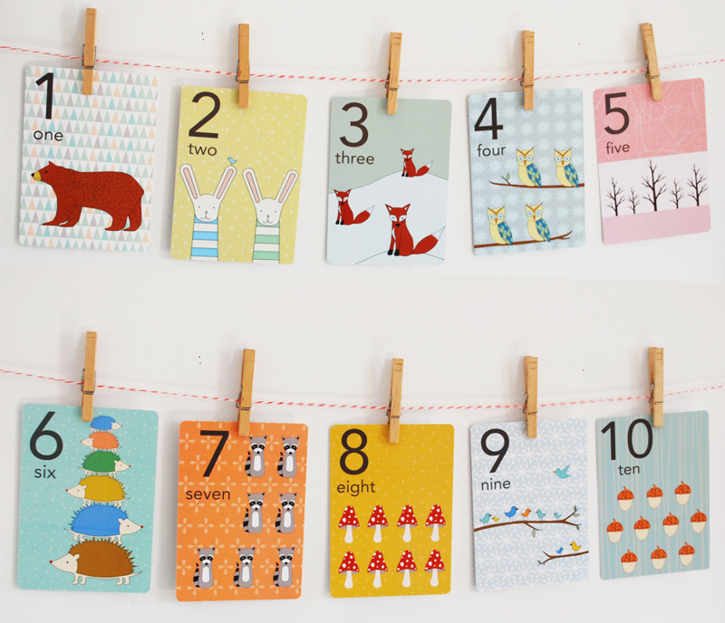 12-Forest Numbers Counting Card Set