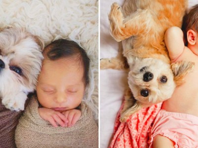 20 Super Adorable Photos of Baby and Dog Friendships!