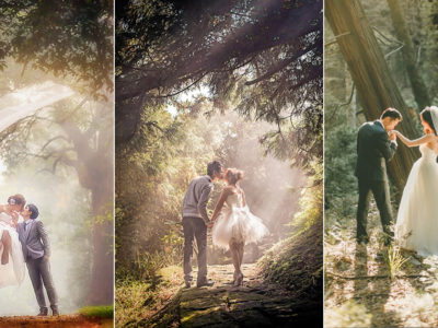 28 Enchanted Forest Engagement Photos For Fairy Tale Lovers!